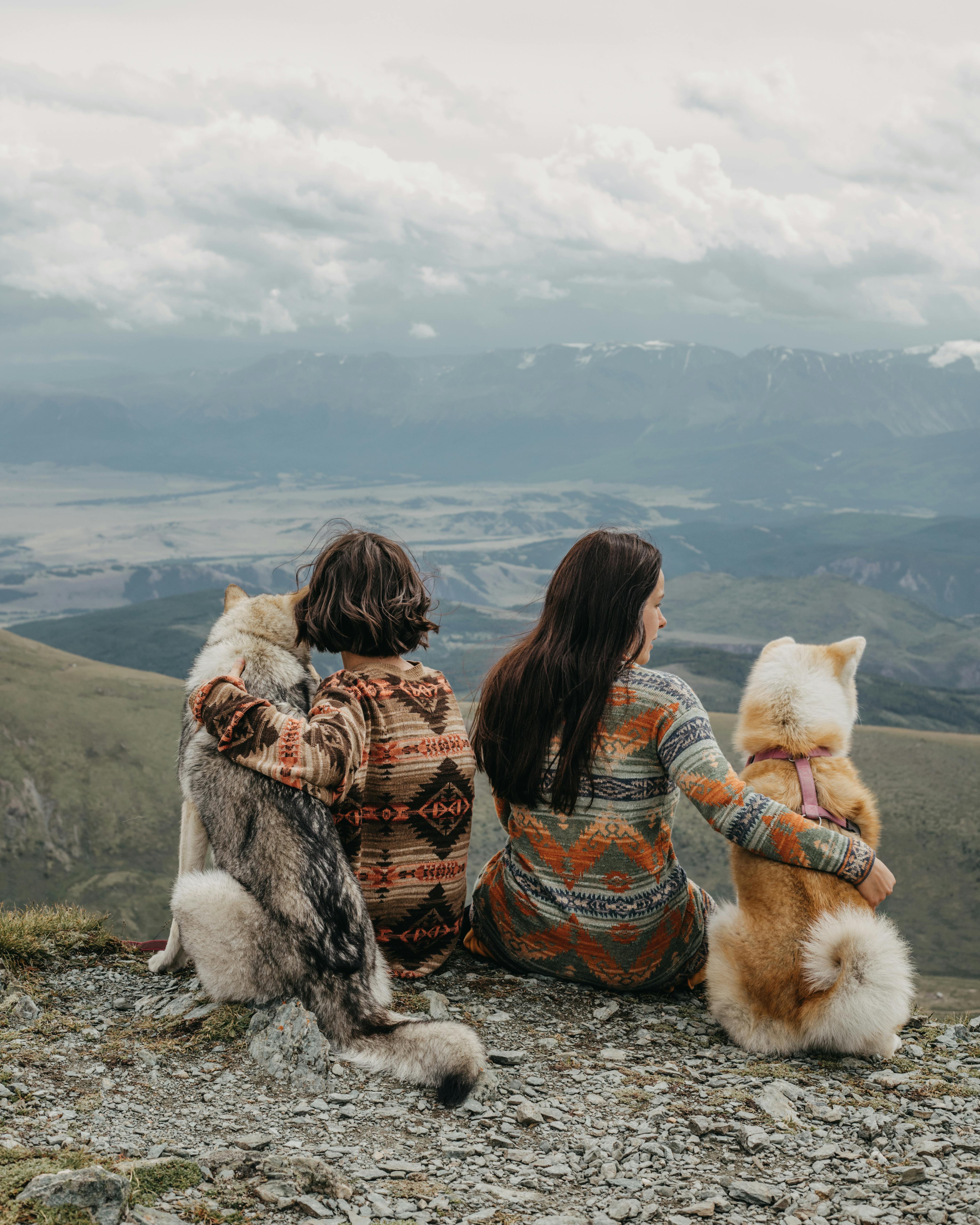 Uitzicht met twee honden