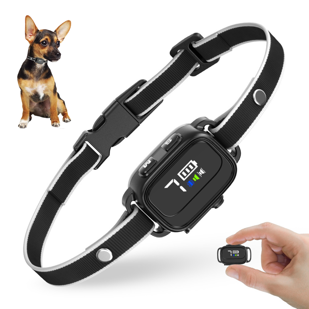 Anti-blafband in het zwart met hond