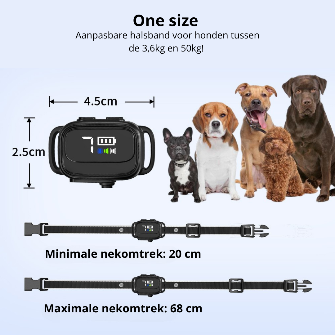 Anti-blafband in het zwart maten