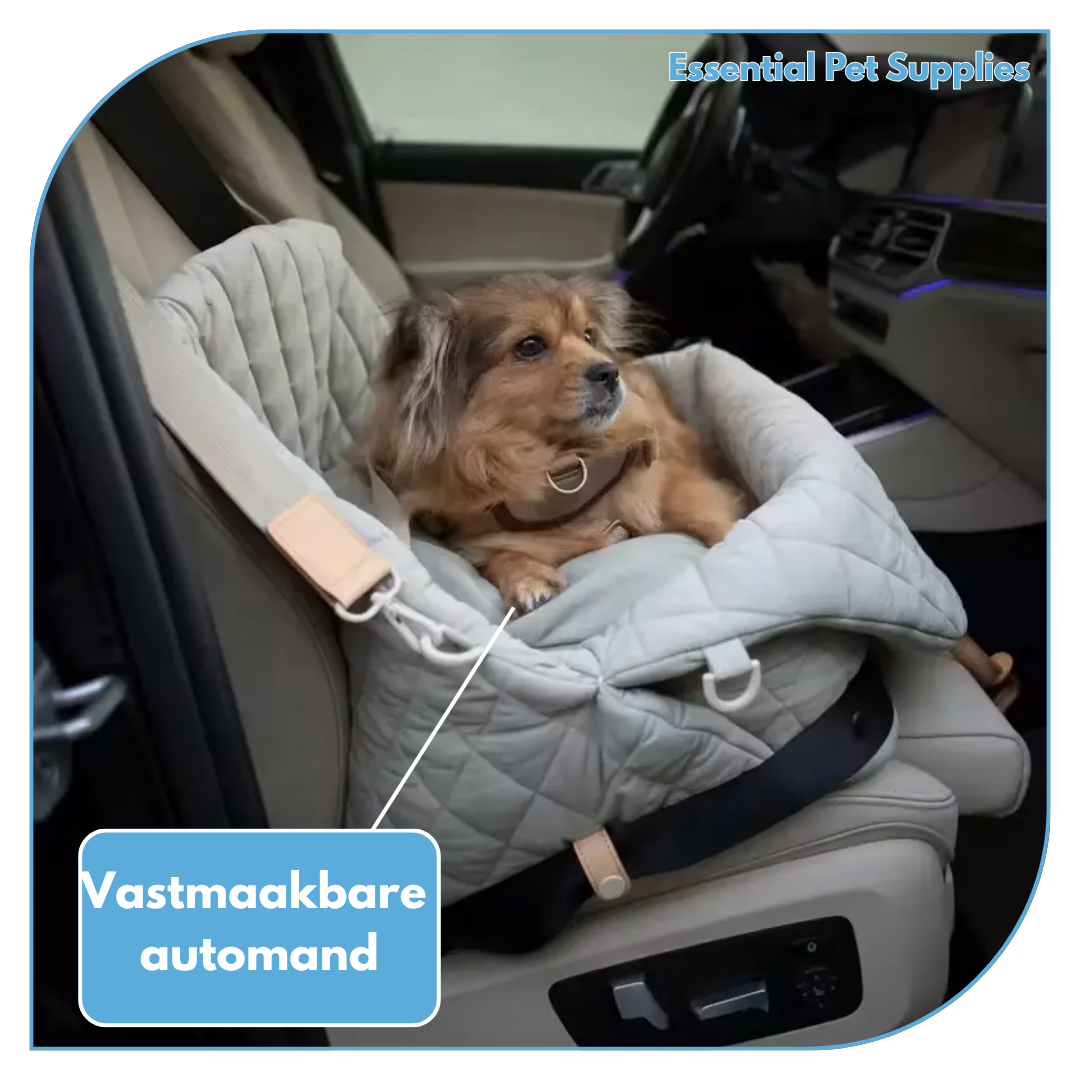 Grijze honden automand in auto