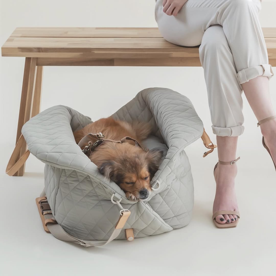 Grijze draagbare hondenmand met hond