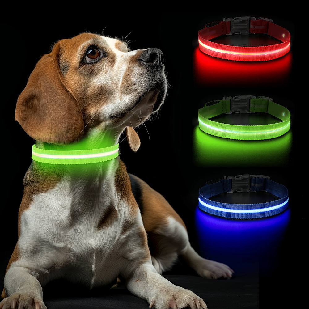 Groene LED halsband op hond