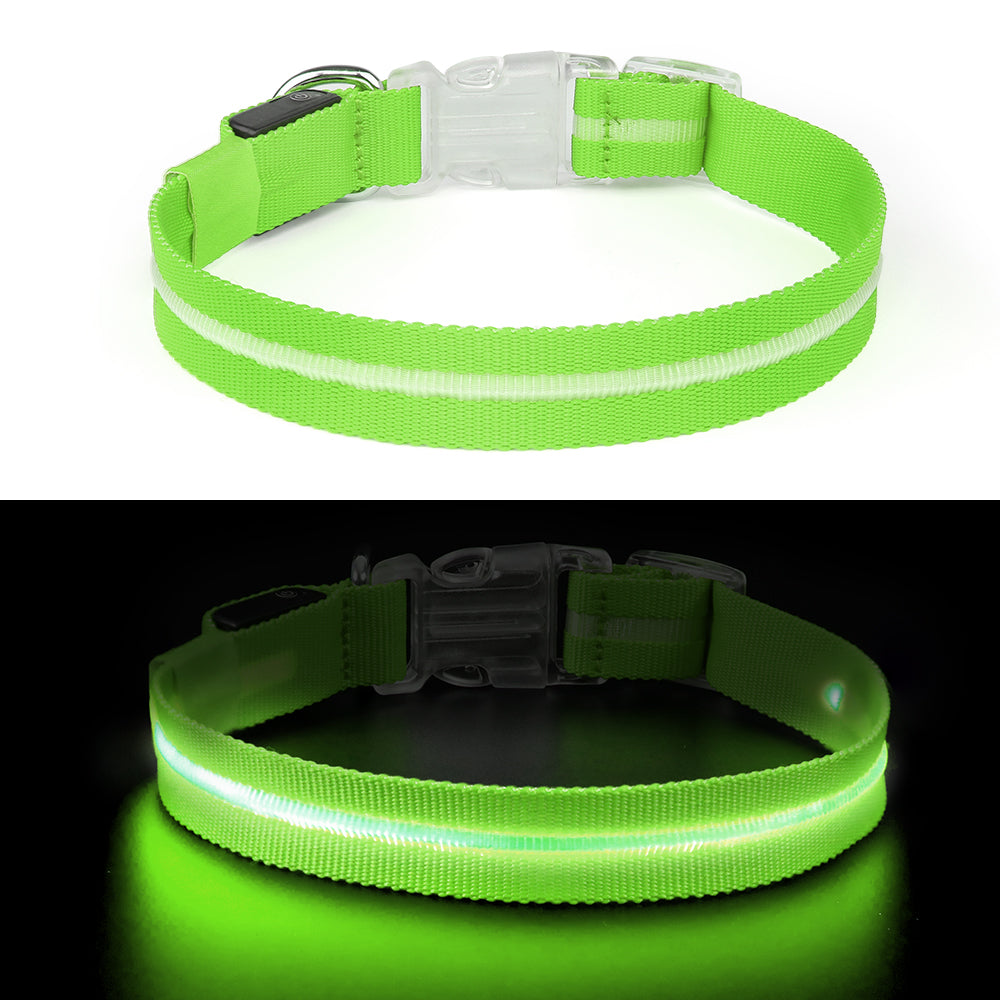 Groene LED halsband in donker