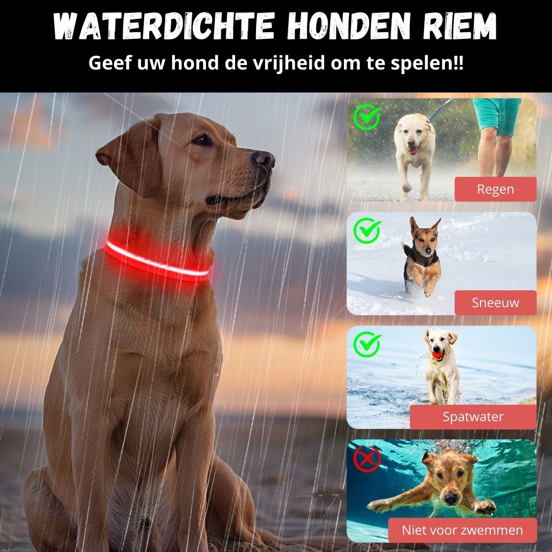Zwarte LED halsband waterdicht