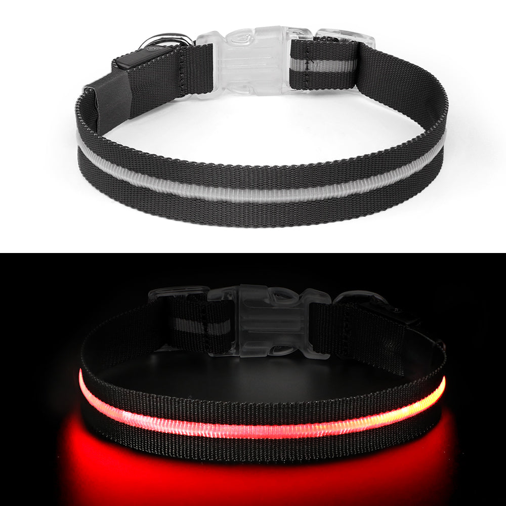 Zwarte LED halsband in het donker