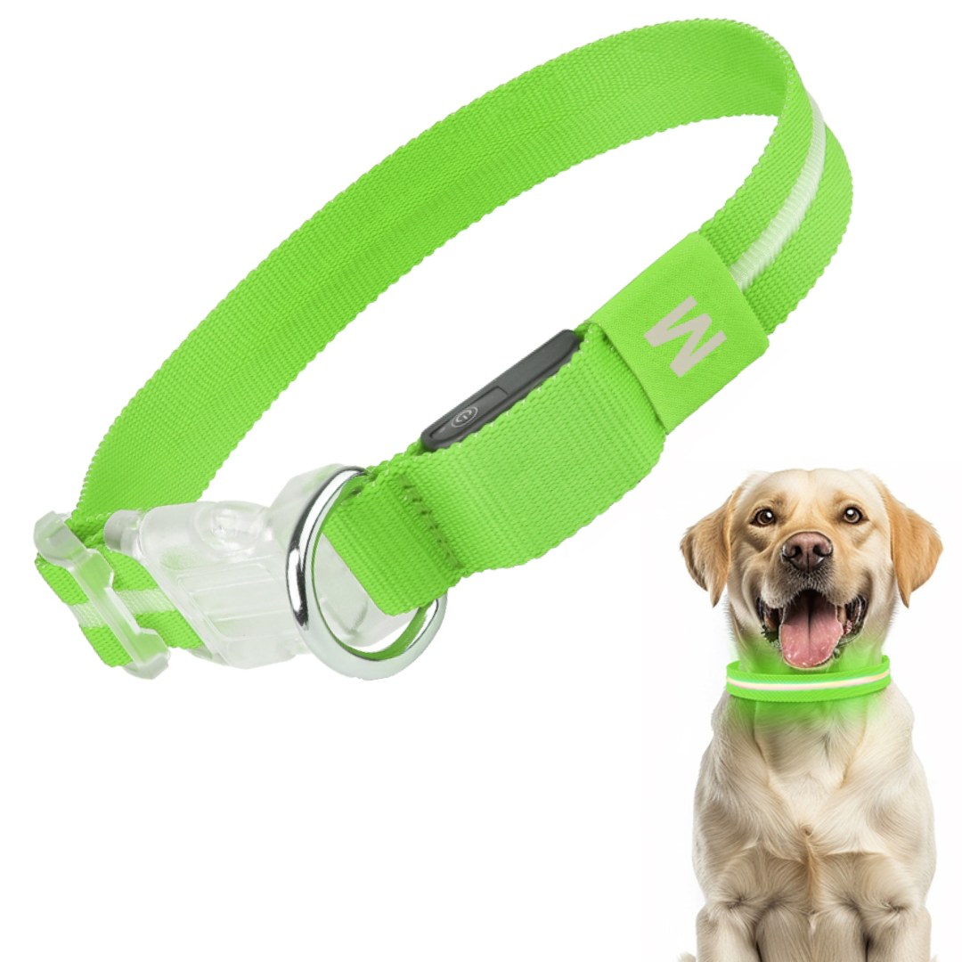 Groene LED halsband op hond
