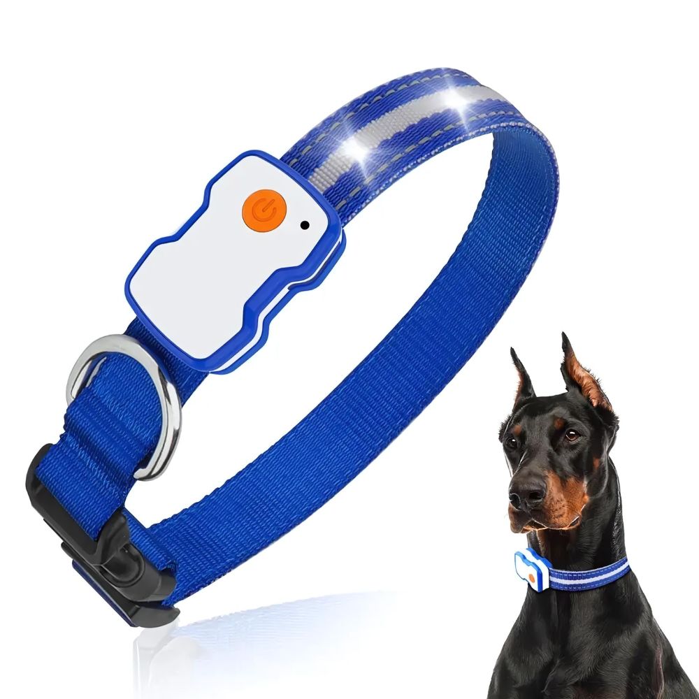 Blauwe lichtgevende halsband met hond