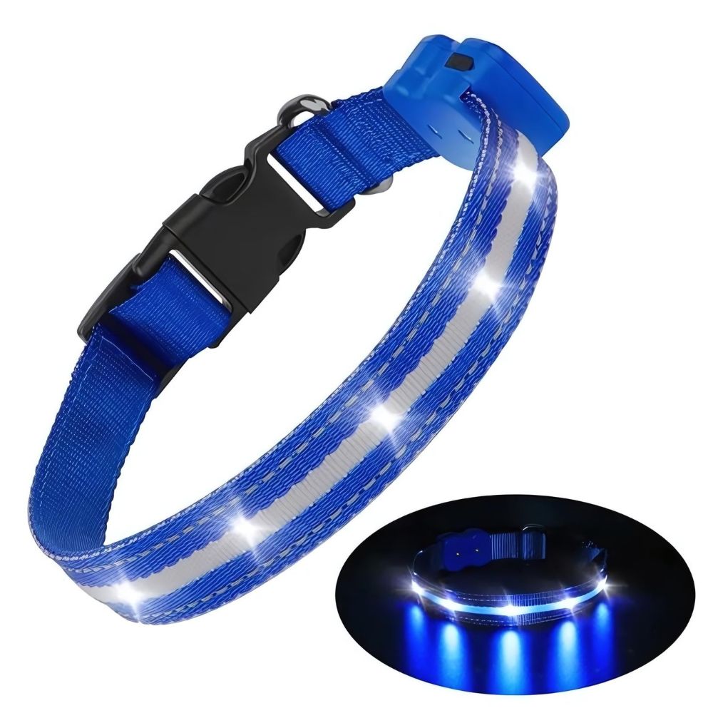 Blauwe lichtgevende halsband