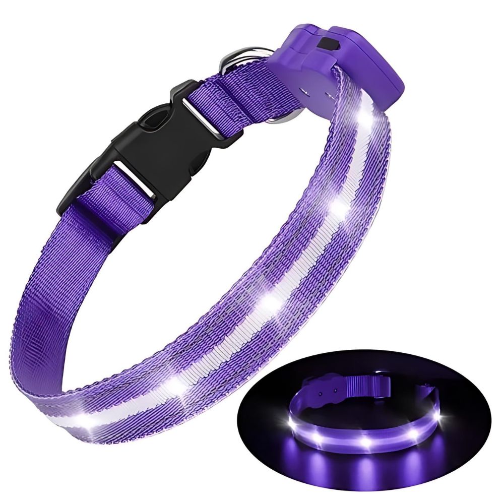 Paarskleurige lichtgevende halsband