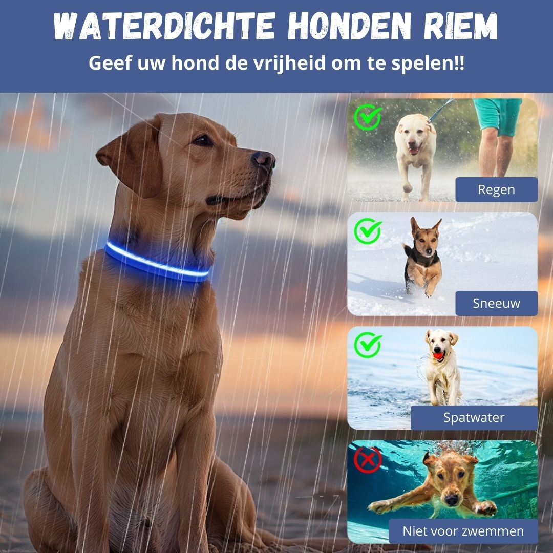 Blauwe LED Halsband waterdicht