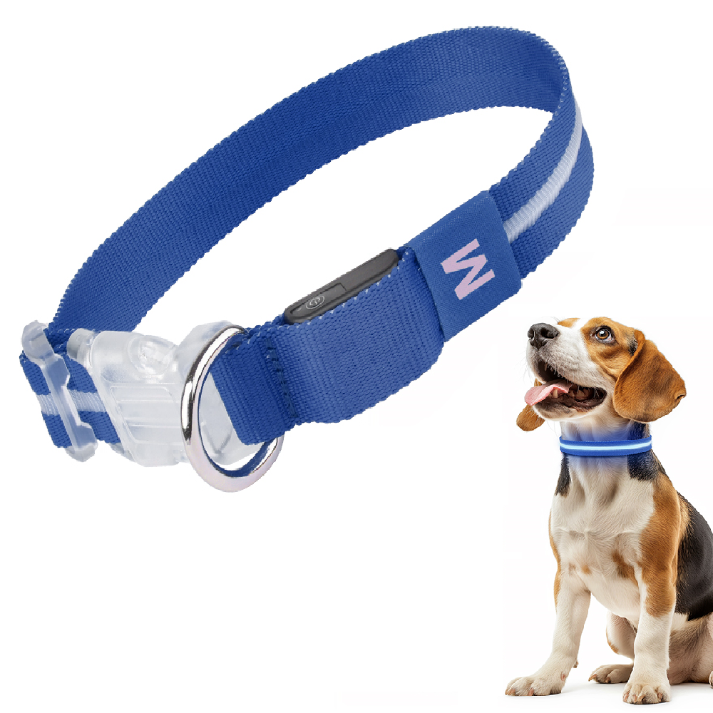 Blauwe LED Halsband met hond