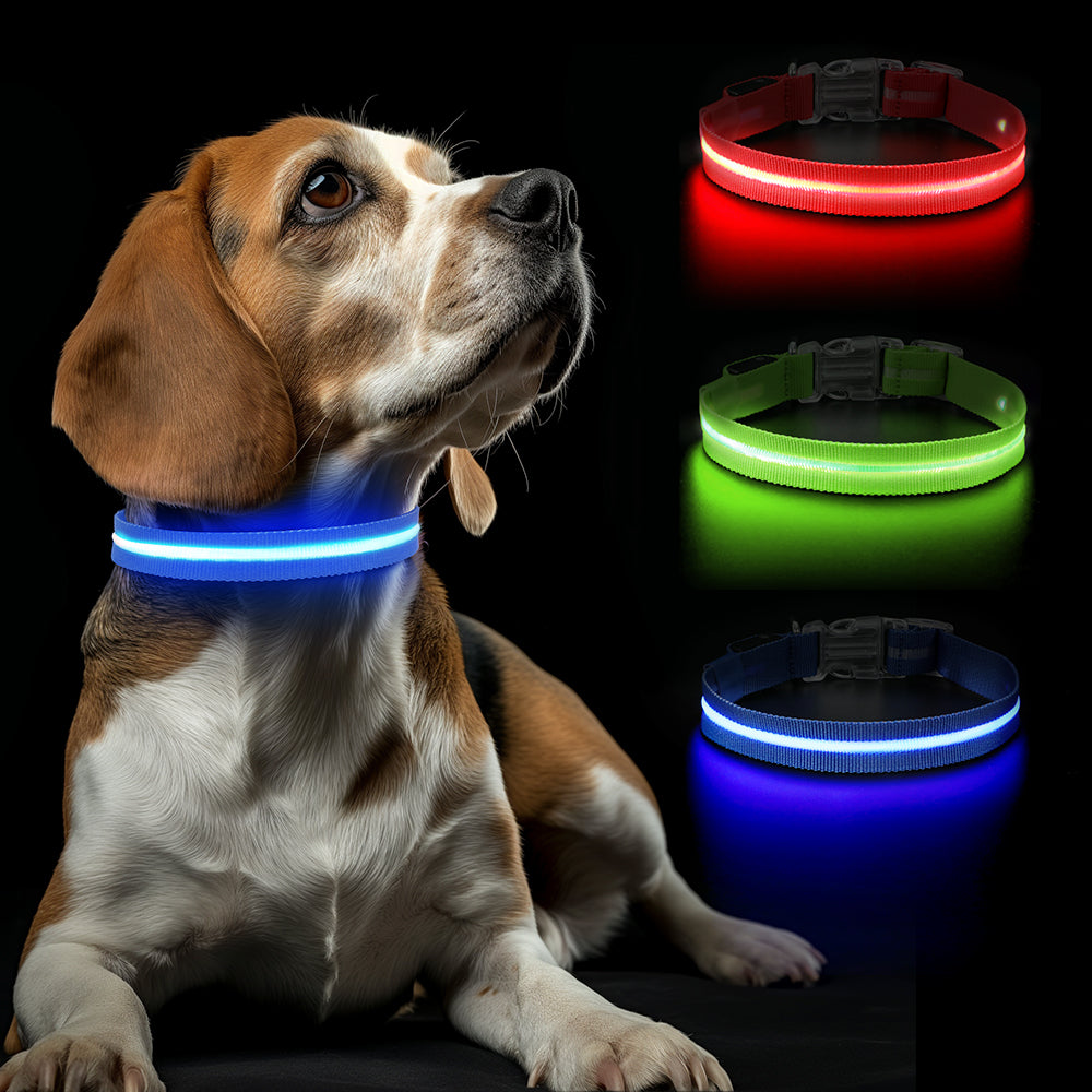 Blauwe LED Halsband met hond