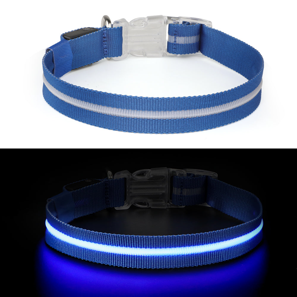 Blauwe LED Halsband in het donker