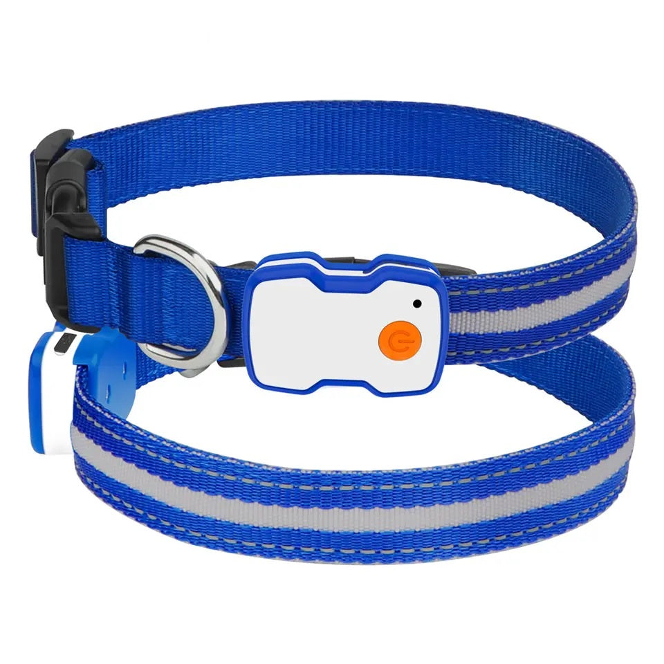 Blauwe lichtgevende halsband