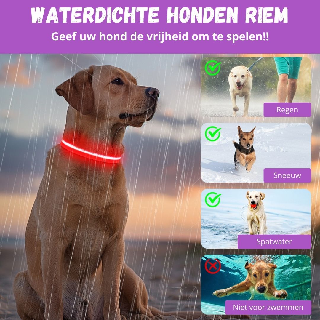 Paarse lichtgevende halsband voordelen