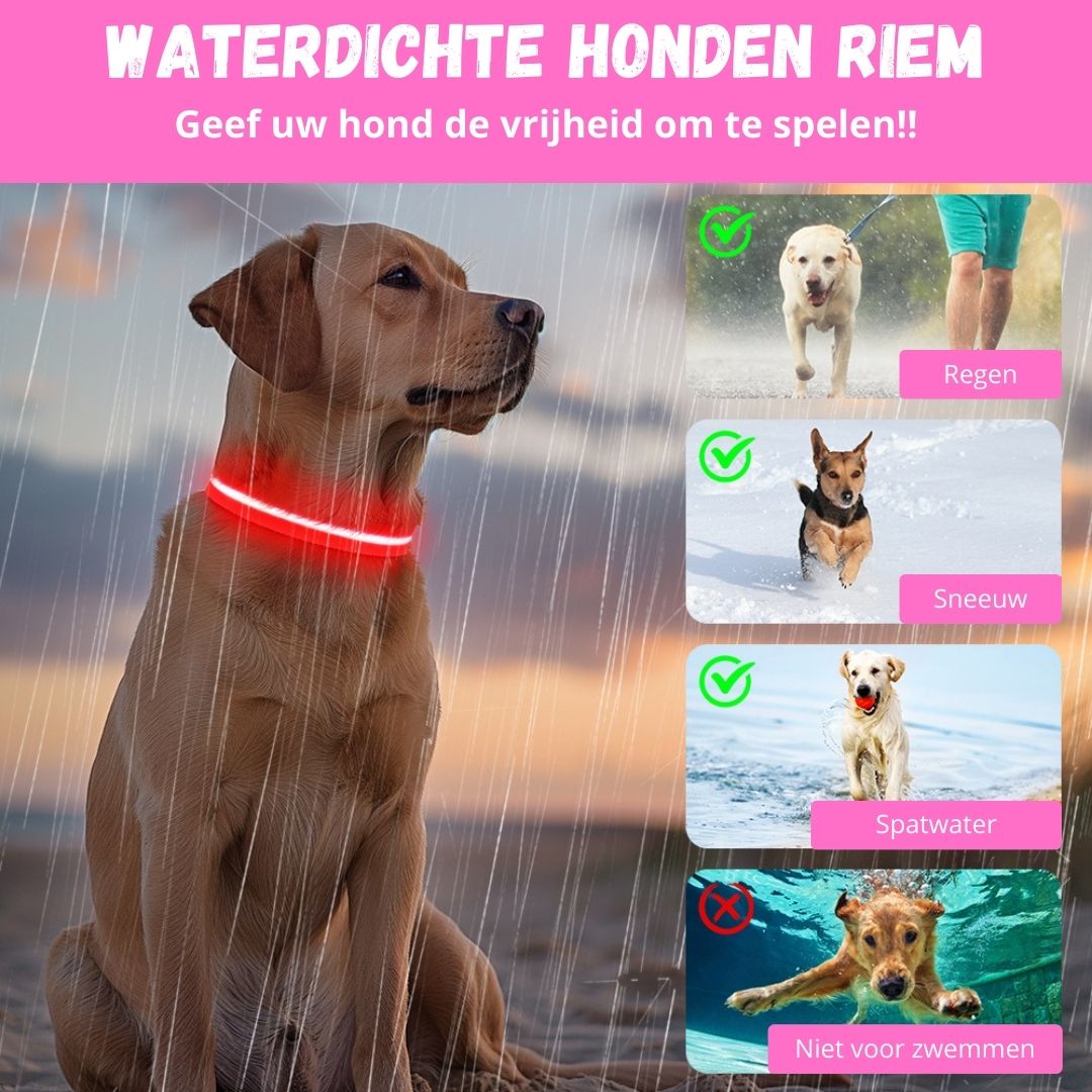 Roze lichtgevende halsband voordelen