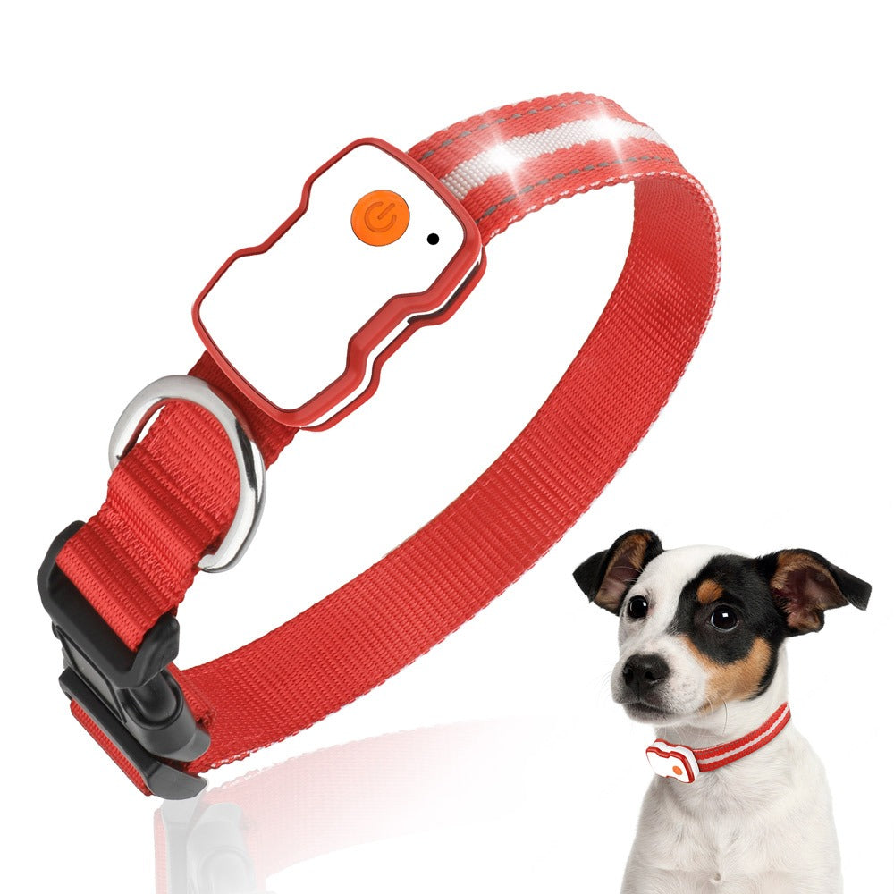 Hond met rode halsband