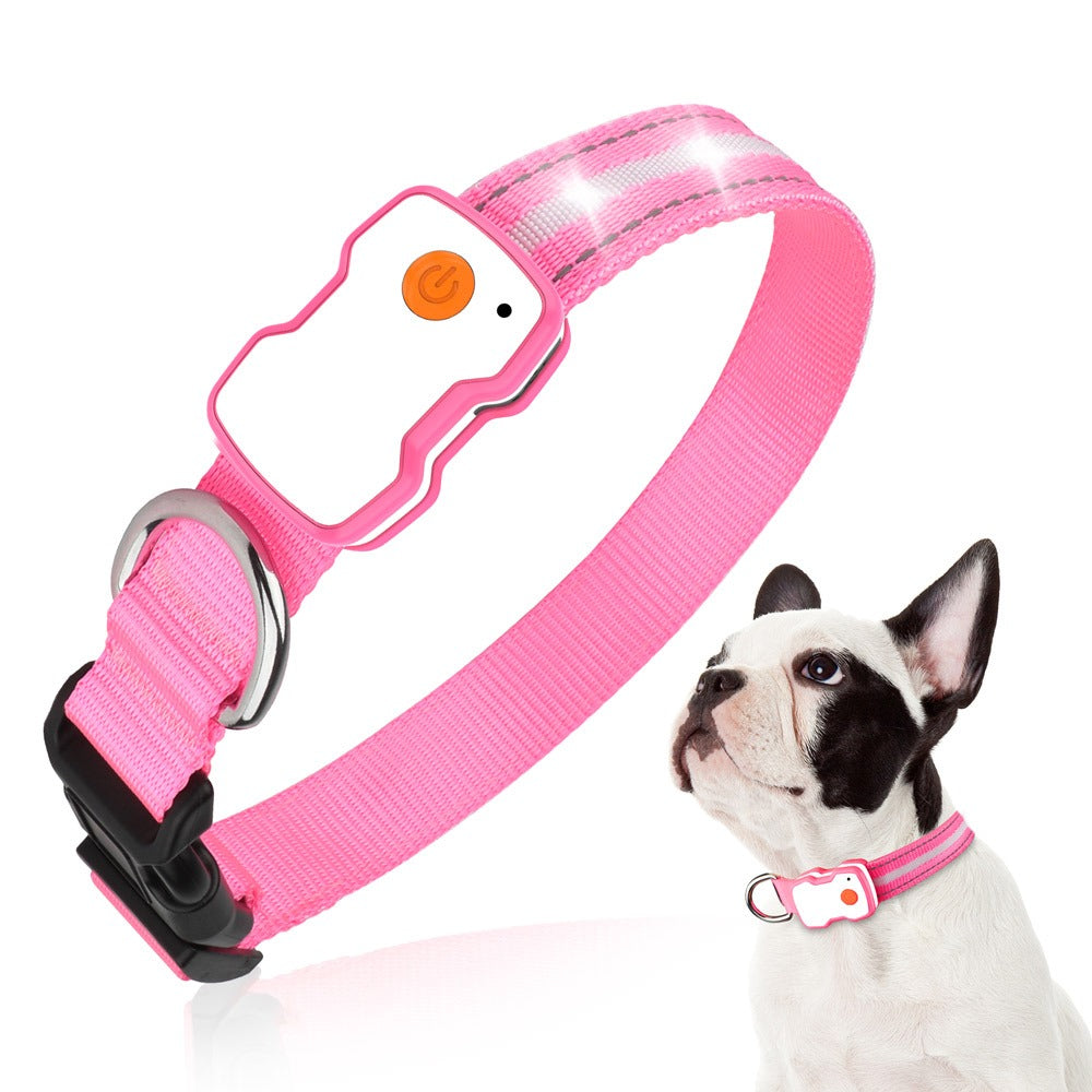 Hond met roze halsband om