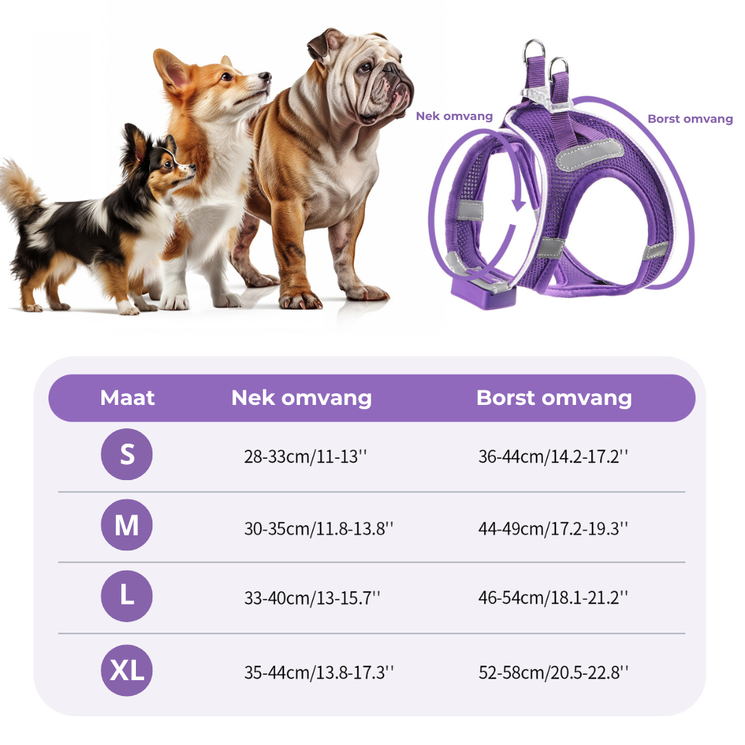 Paars honden harnas maatindicatie