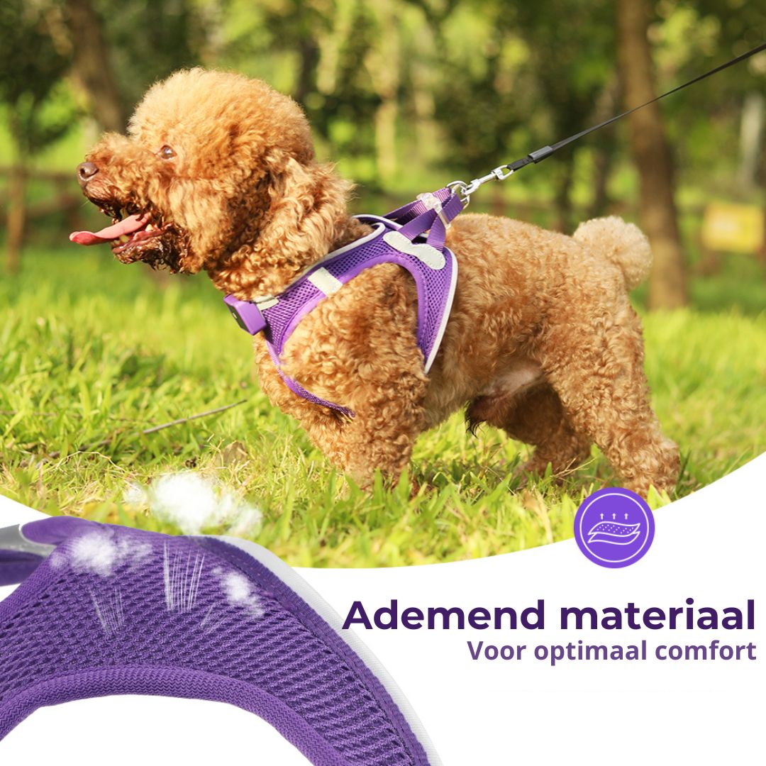 Paars honden harnas USP