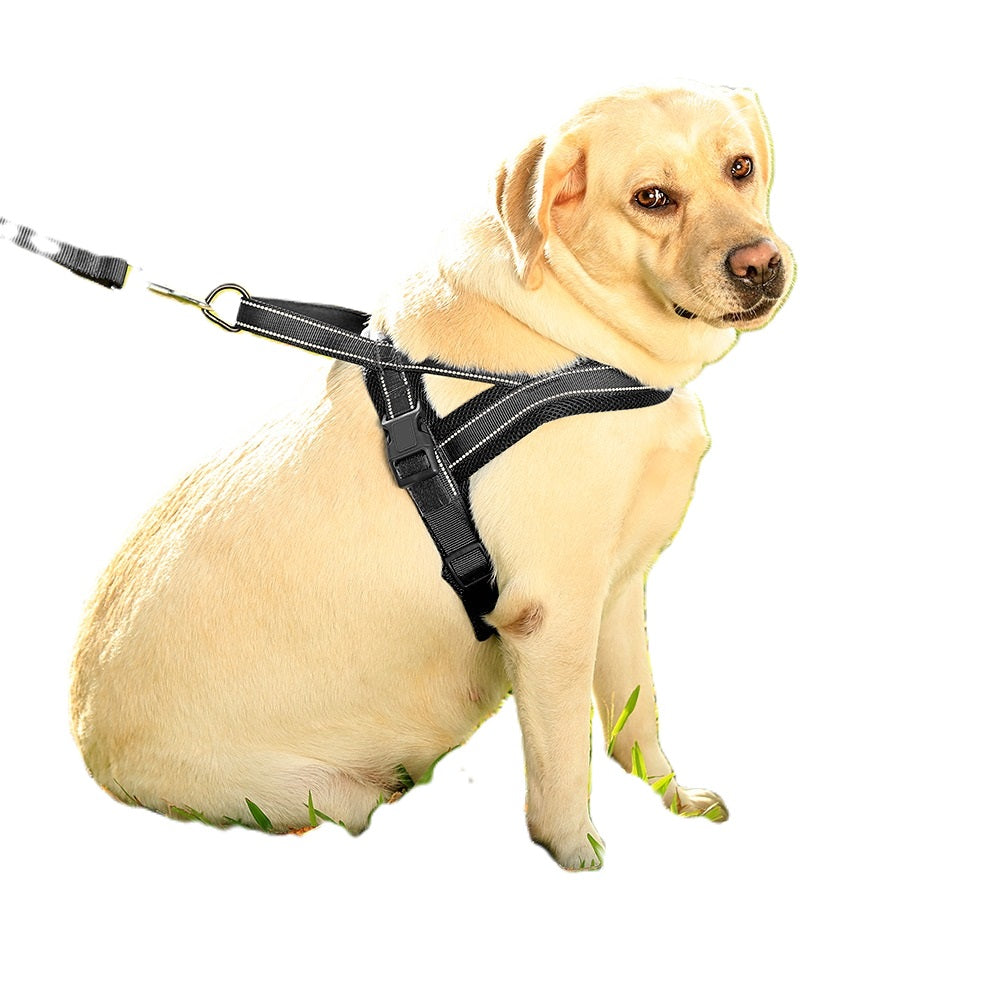 Zwart honden harnas met hond
