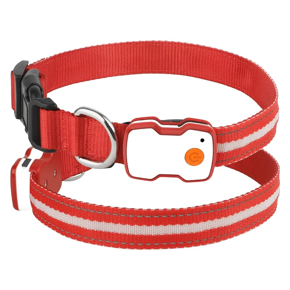 Rode honden halsband