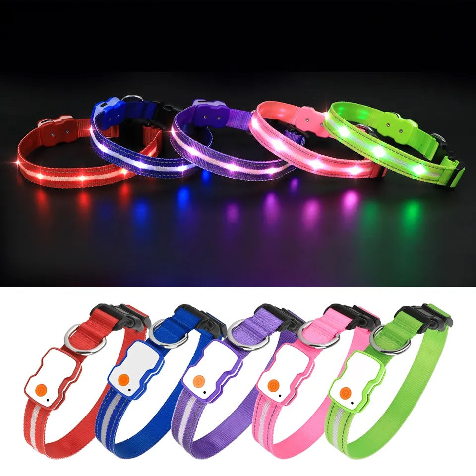 Verschil in licht met halsband