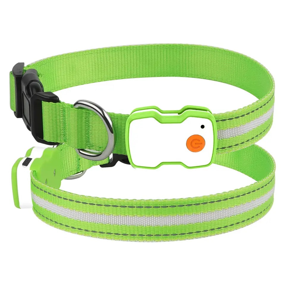 Groene honden halsband