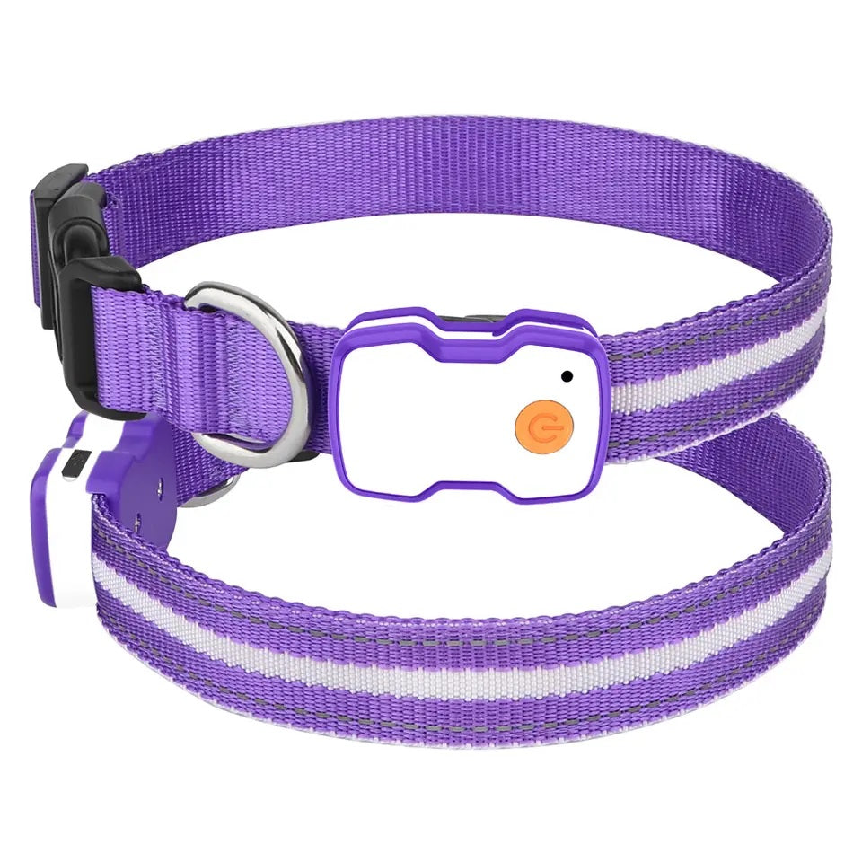 Paarse halsband voor honden