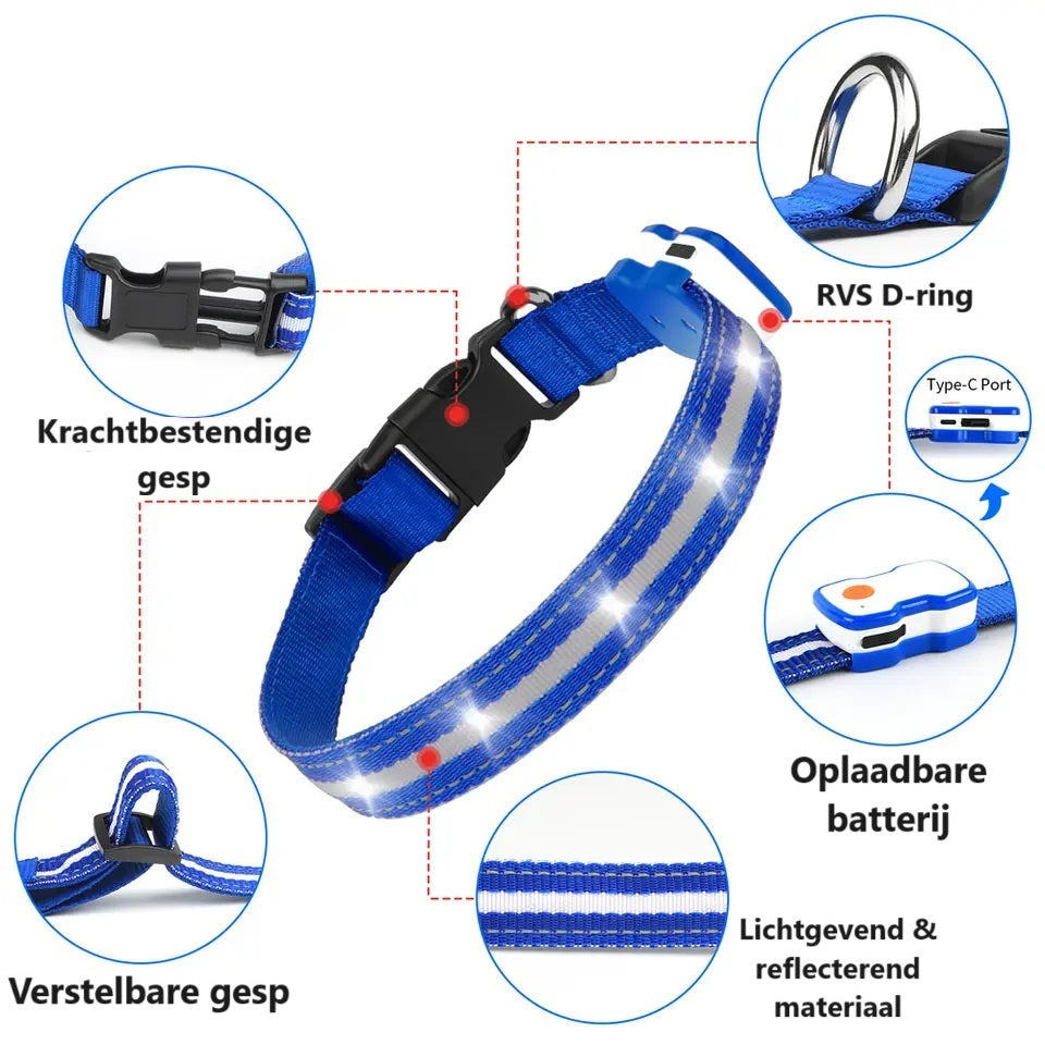 Uitleg lichtgevende blauwe halsband
