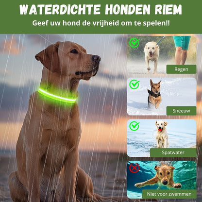 Groene LED halsband waterdicht