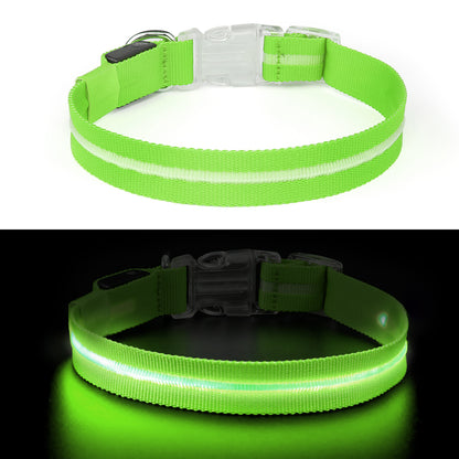 Groene LED halsband in donker