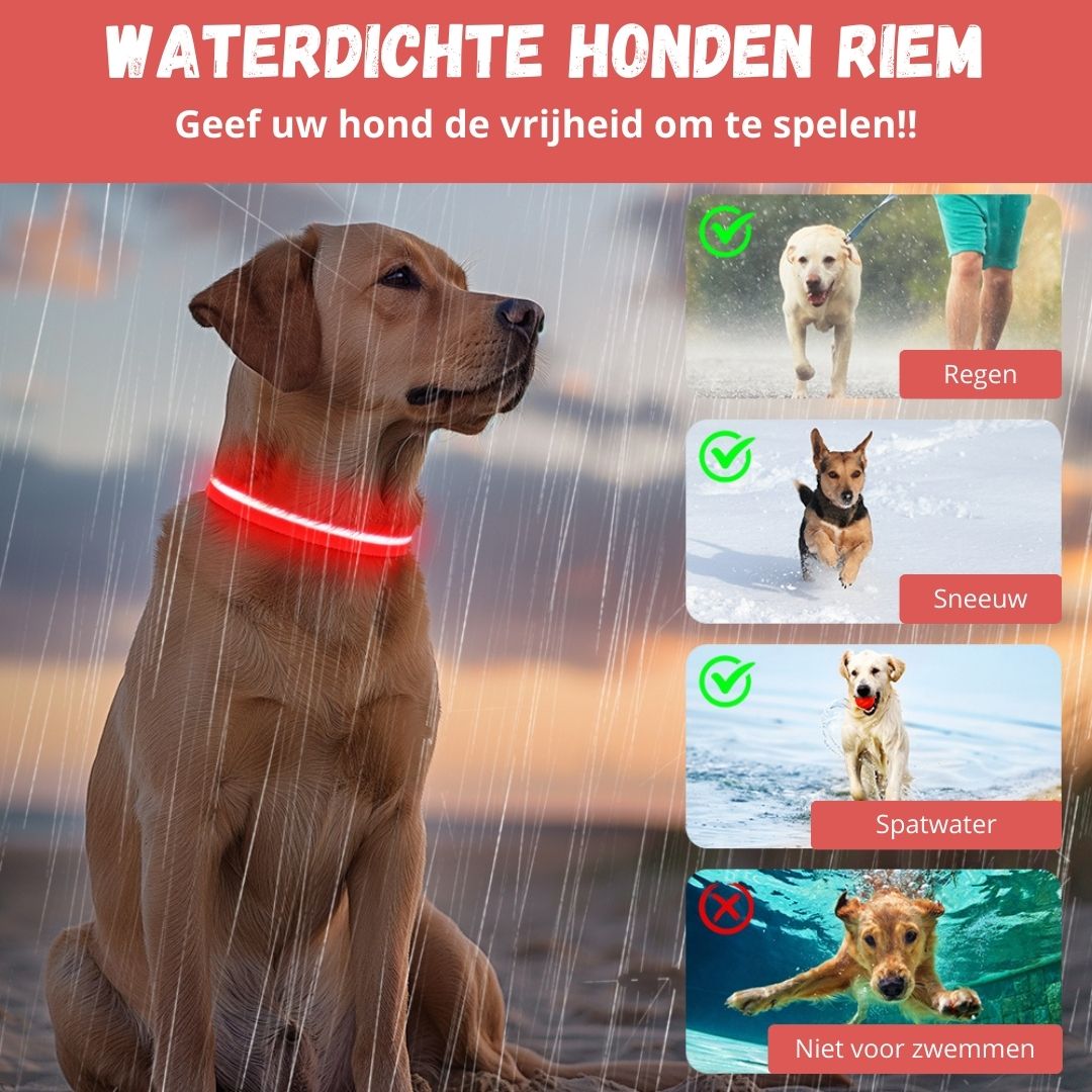 Rode LED halsband waterdicht