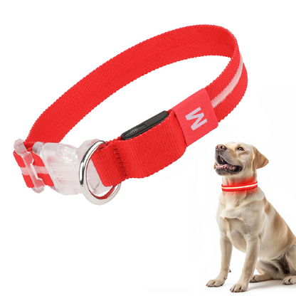 Rode LED halsband met hond