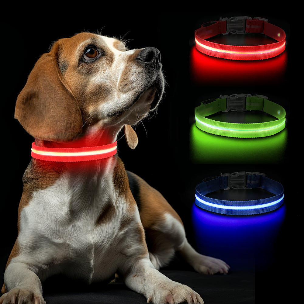 Rode LED halsband met hond