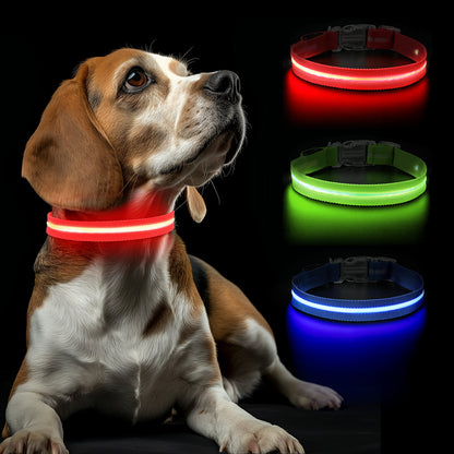 Rode LED halsband met hond