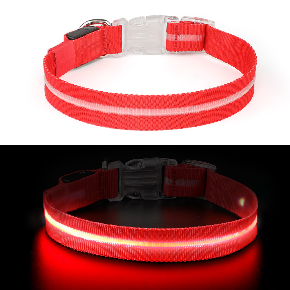 Rode LED halsband in het donker