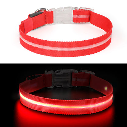Rode LED halsband in het donker